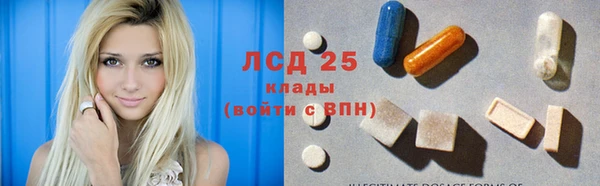 гидра Арсеньев